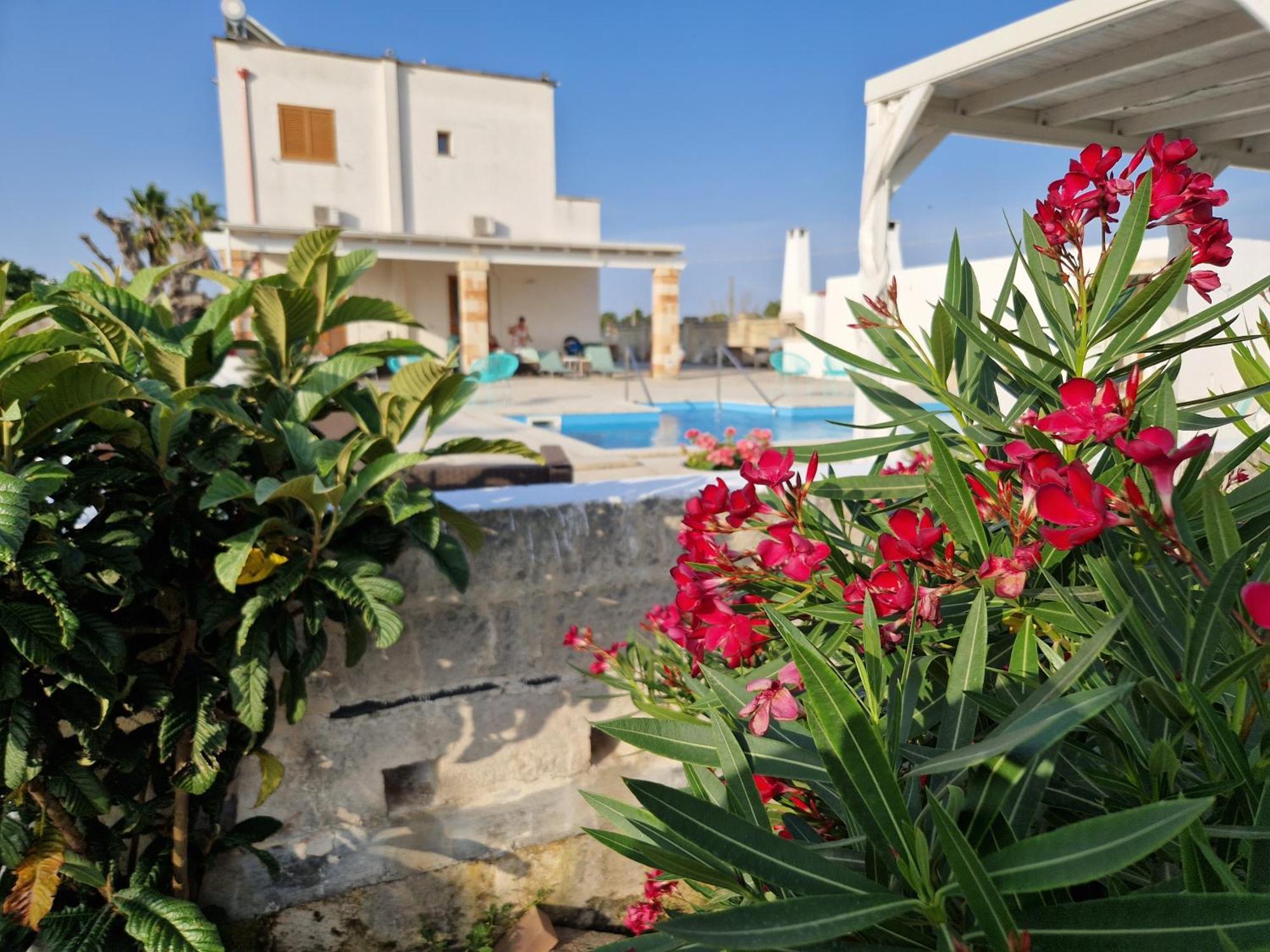 La Dimora Dei Conti Bed & Breakfast Collemeto Exterior photo